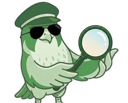 About Image